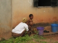 nigeria 330