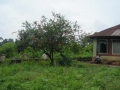 DSCN1106