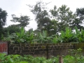 DSCN1107