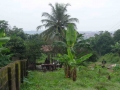 DSCN1110