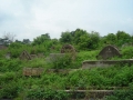 DSCN1111