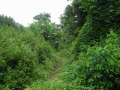 DSCN1116