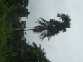DSCN1119