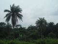 DSCN1120