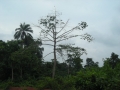 DSCN1121