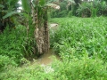 DSCN1122