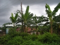DSCN1163