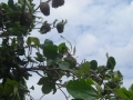 DSCN1170