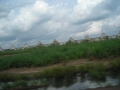DSCN1180