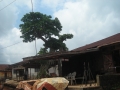 DSCN1192