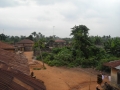 DSCN1353